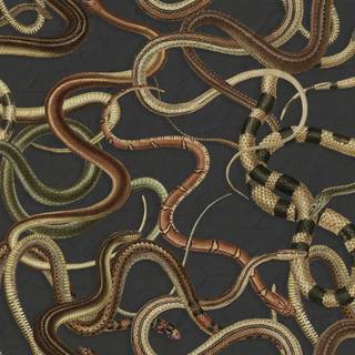 Snake black and gold wallpaper