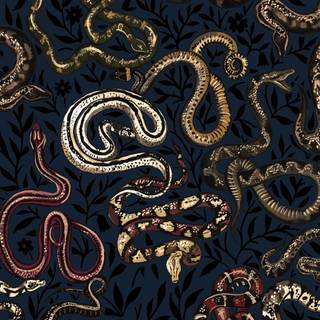 Snake black and gold wallpaper