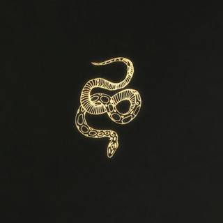 Snake black and gold wallpaper