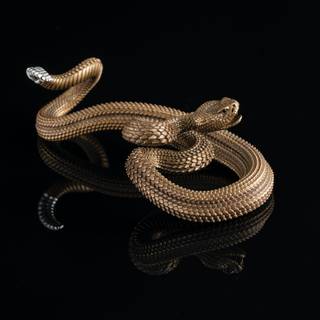 Snake black and gold wallpaper