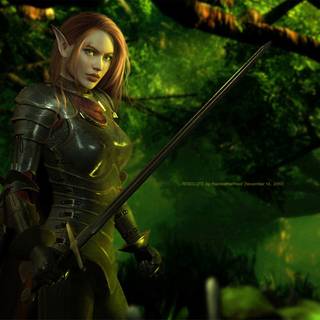 Elf warrior wallpaper