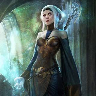 Elf warrior wallpaper