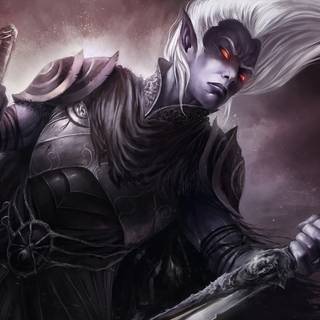 Elf warrior wallpaper