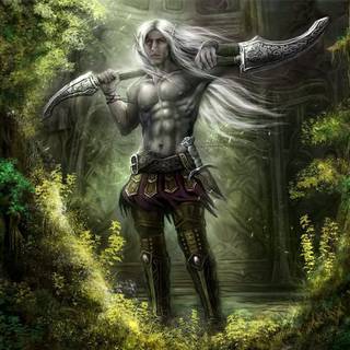 Elf warrior wallpaper