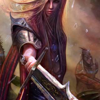 Elf warrior wallpaper