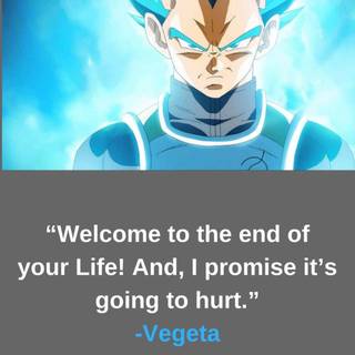 Vegeta motivation wallpaper