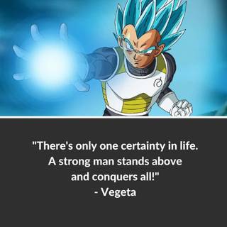Vegeta motivation wallpaper