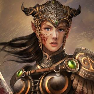 Elf warrior wallpaper
