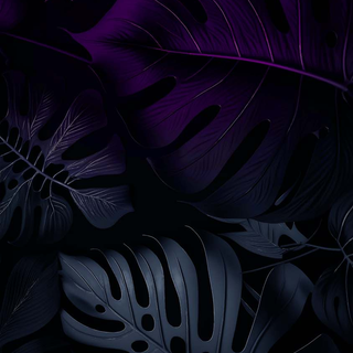 iPhone 15 amoled wallpaper