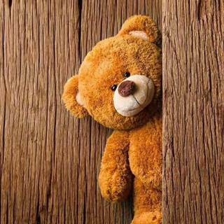 iPhone cute bear wallpaper