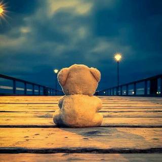 iPhone cute bear wallpaper