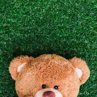 iPhone cute bear wallpaper