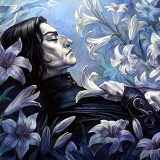 Severus Snape and Lily Potter wallpaper