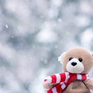 iPhone cute bear wallpaper