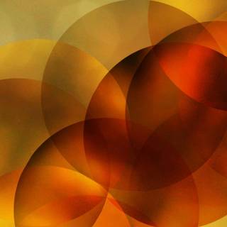 Vibrant autumn colors wallpaper