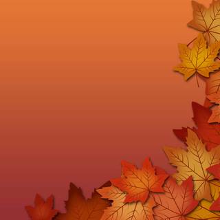 Vibrant autumn colors wallpaper