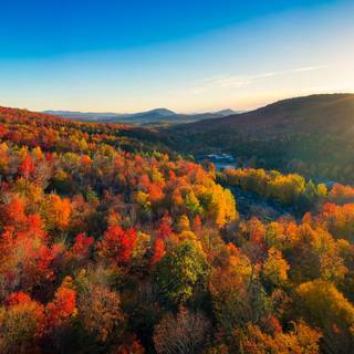 Vibrant autumn colors wallpaper