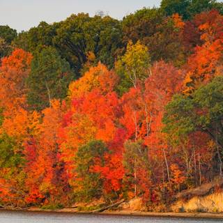 Vibrant autumn colors wallpaper