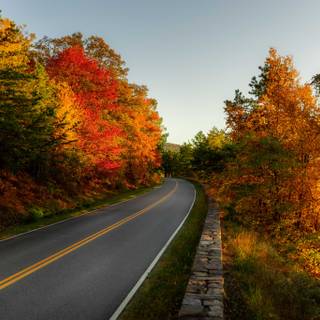 Vibrant autumn colors wallpaper