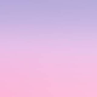 Pink violet wallpaper