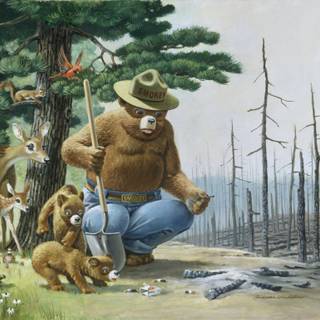 Smokey Bear wallpaper