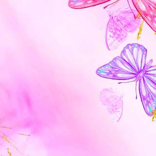 Pink violet wallpaper