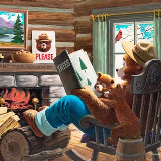 Smokey Bear wallpaper