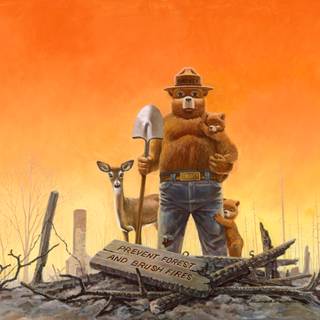 Smokey Bear wallpaper