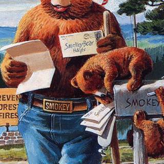 Smokey Bear wallpaper