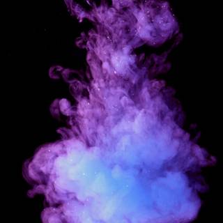 Pink violet wallpaper