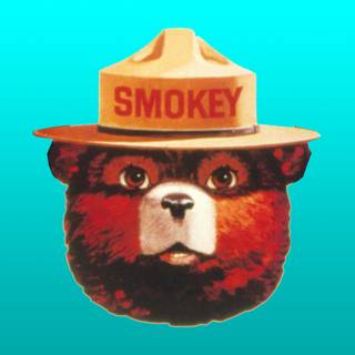 Smokey Bear wallpaper
