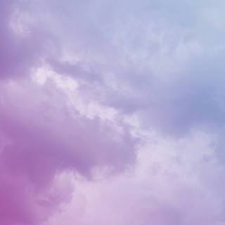 Pink violet wallpaper