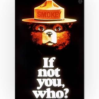 Smokey Bear wallpaper