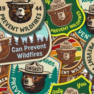 Smokey Bear wallpaper