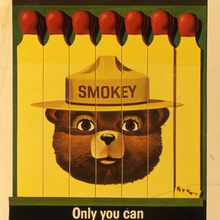Smokey Bear wallpaper