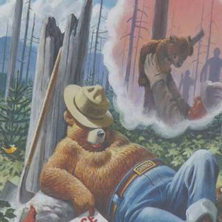 Smokey Bear wallpaper