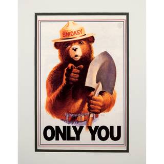Smokey Bear wallpaper