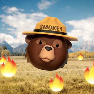 Smokey Bear wallpaper