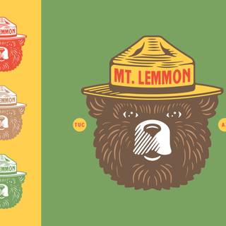 Smokey Bear wallpaper