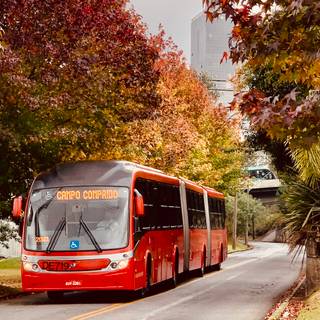 Public transport wallpaper