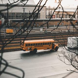 Public transport wallpaper