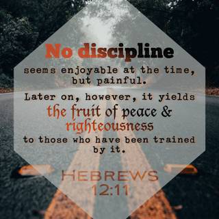 Descipline wallpaper