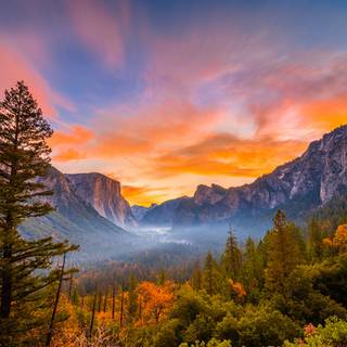 USA landscape wallpaper