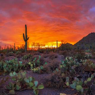 USA landscape wallpaper