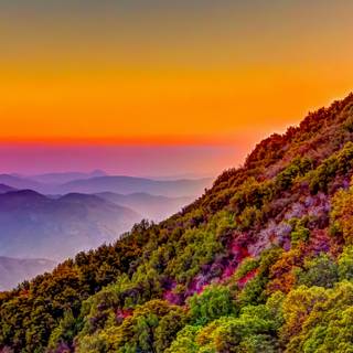 USA landscape wallpaper