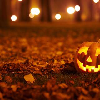 Halloween pumpkins desktop HD wallpaper