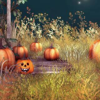 Halloween pumpkins desktop HD wallpaper
