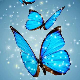 Small phone wallpaper