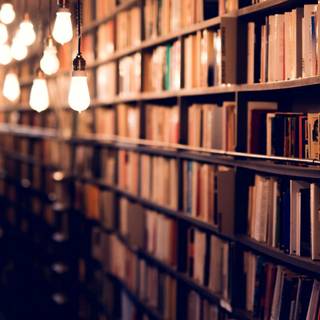 Shelf phone wallpaper