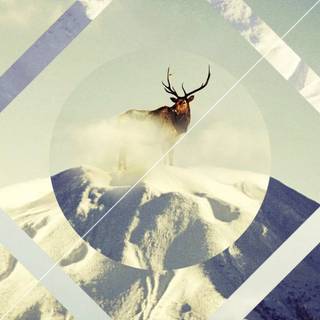 Hipster phone wallpaper